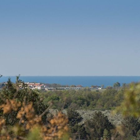 Apartment Bruneta 1 With Sea View Tar-Vabriga Екстериор снимка